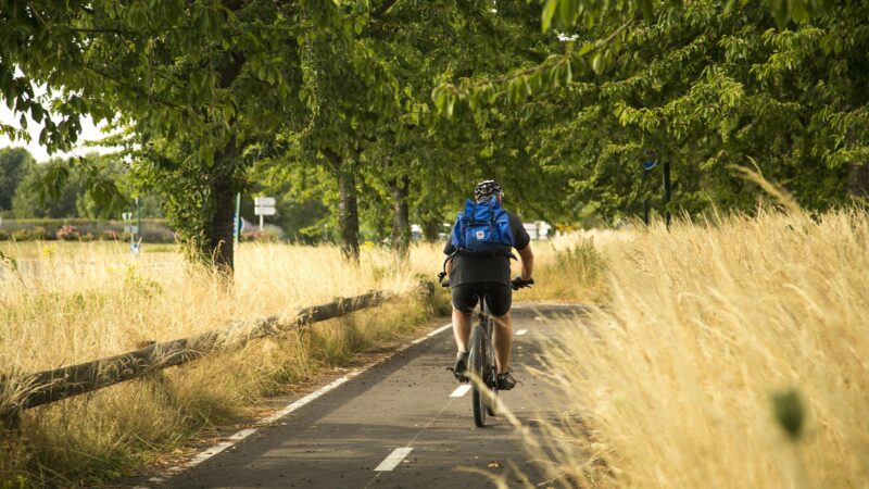London to Amsterdam Cycle September 2025